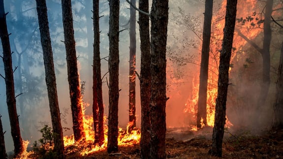 Geografisk data avgörande för brandbekämpning